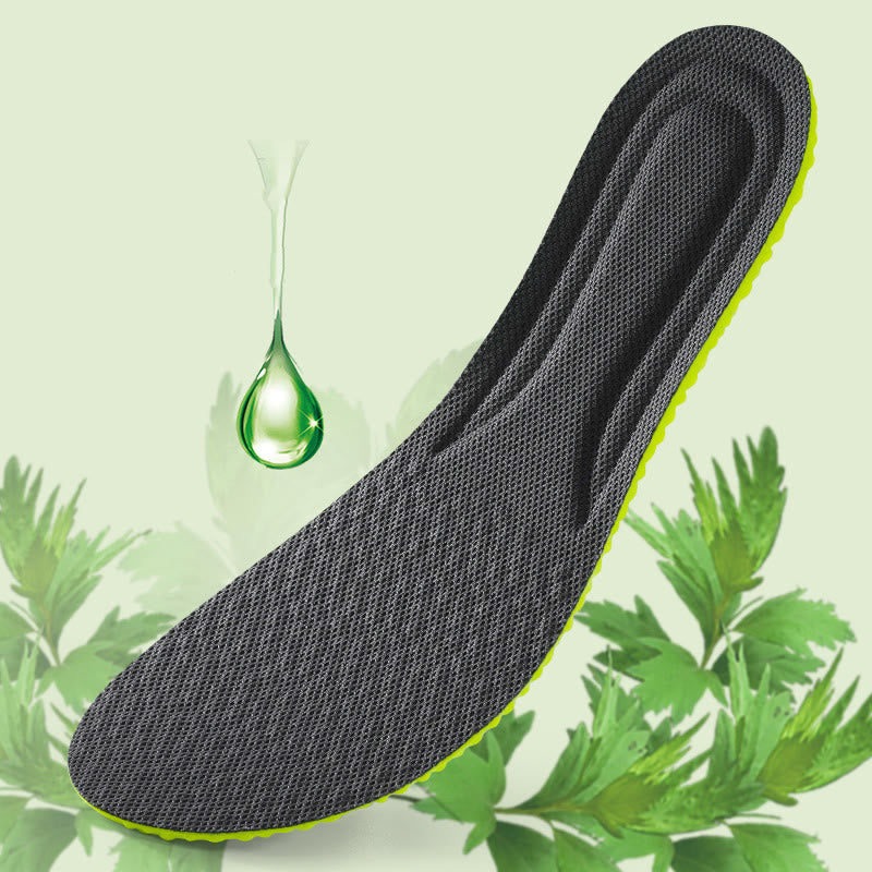 Plus Size Wormwoods Breathable Shoe Insoles
