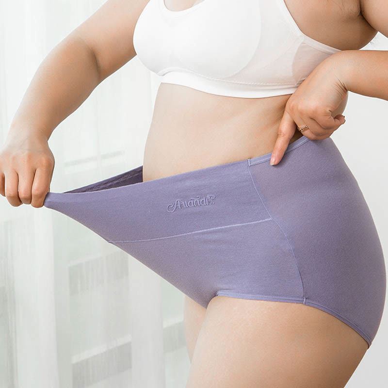 Plus Size High Waist Stretchy Panty(4 Packs)