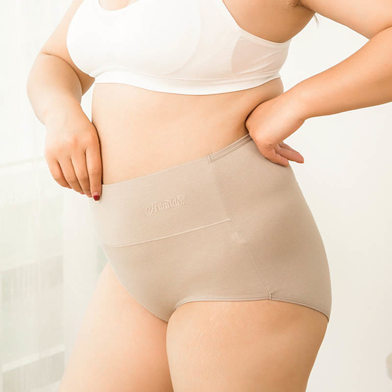 Plus Size High Waist Stretchy Panty(4 Packs)