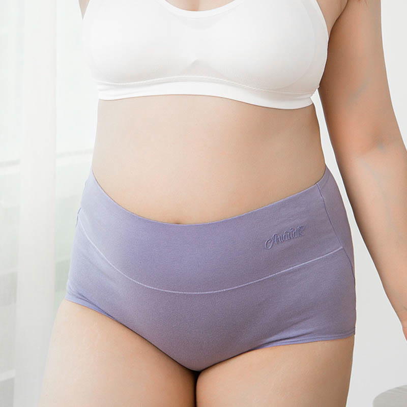 Plus Size High Waist Stretchy Panty(4 Packs)