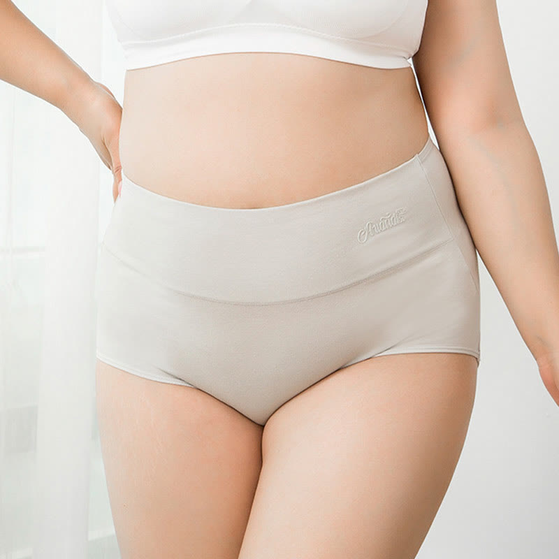 Plus Size High Waist Stretchy Panty(4 Packs)