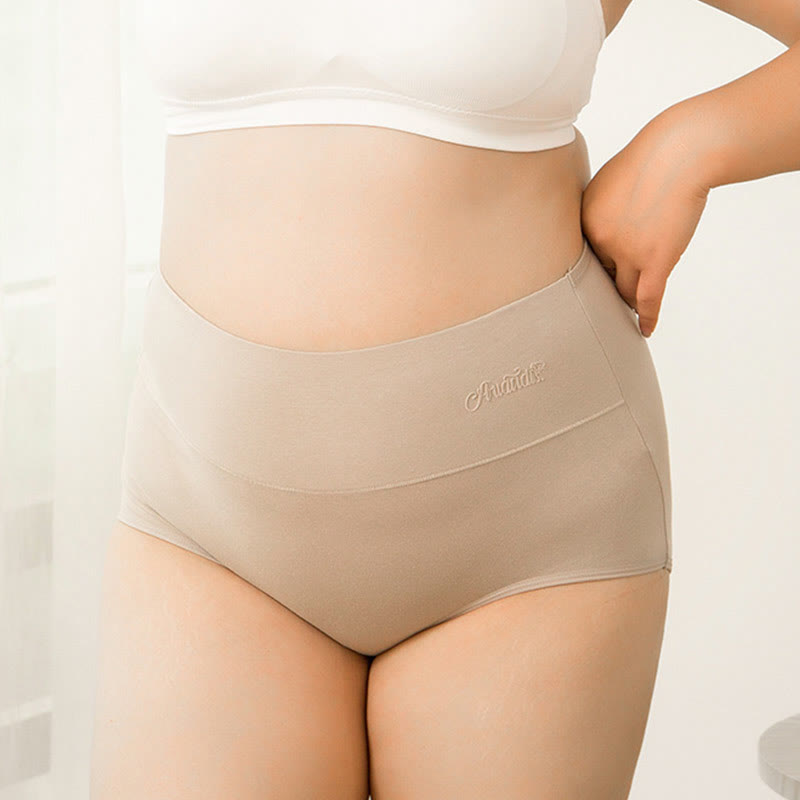 Plus Size High Waist Stretchy Panty(4 Packs)