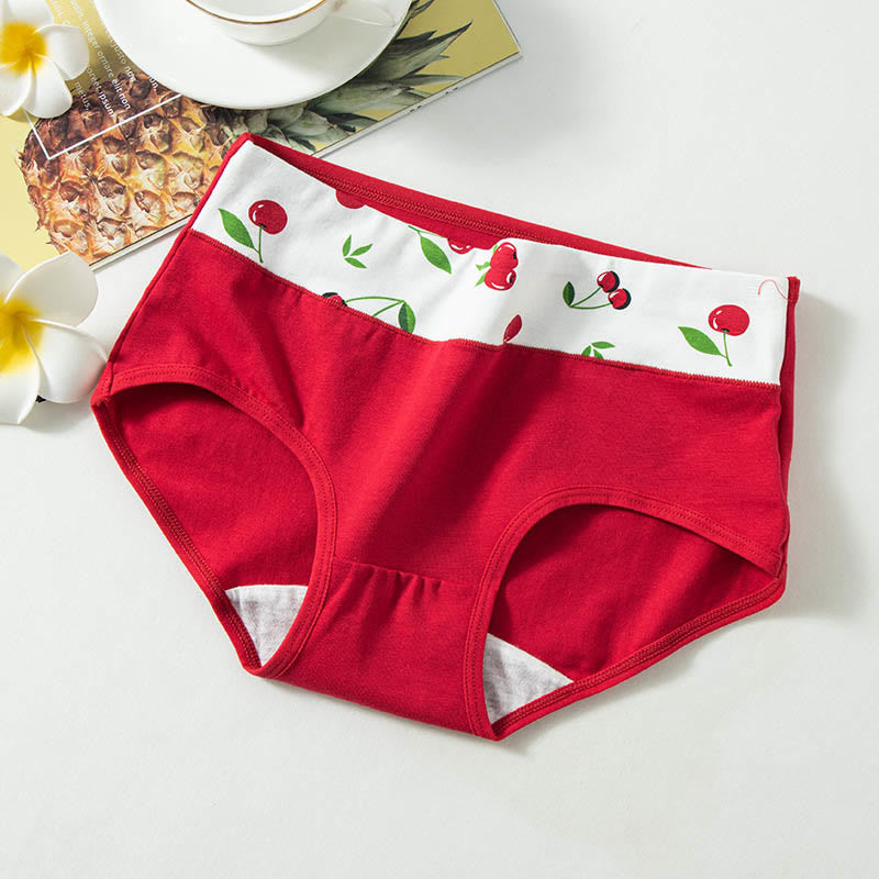 Plus Size Love Cherry Panty(5 Packs)