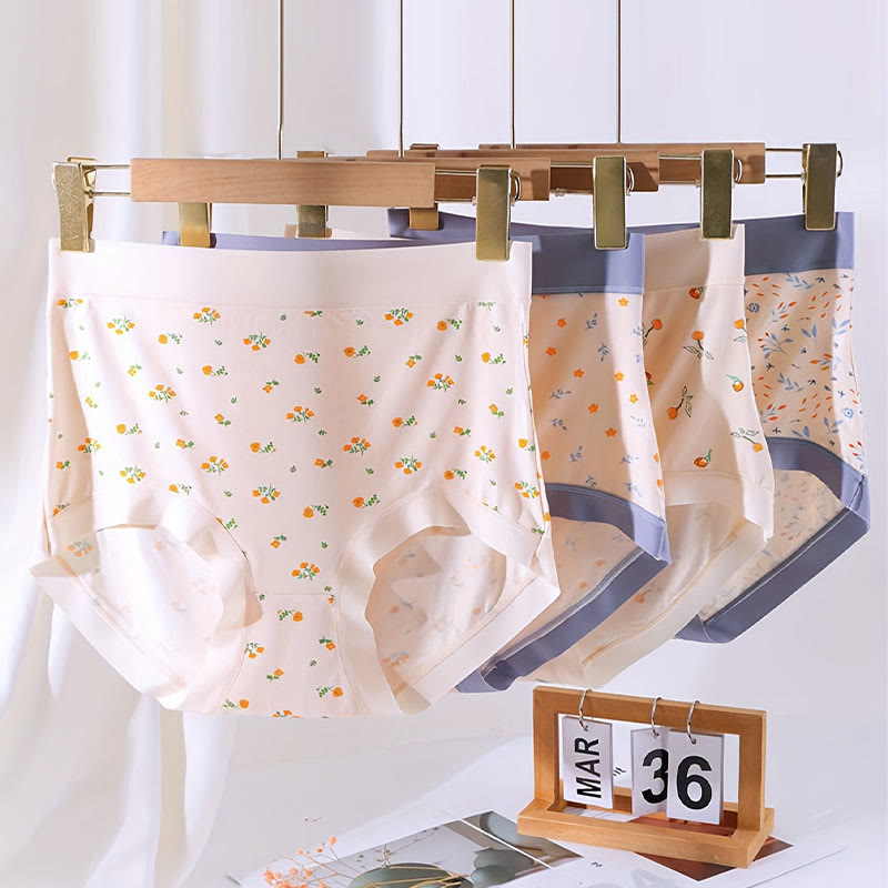 Plus Size Elegant Flowers Panty(4 Packs)