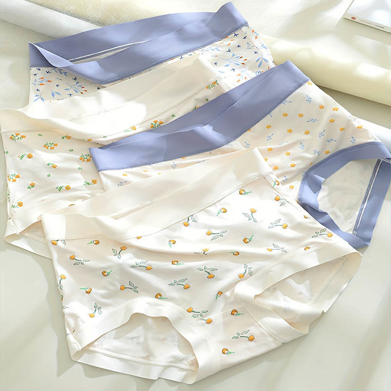 Plus Size Elegant Flowers Panty(4 Packs)