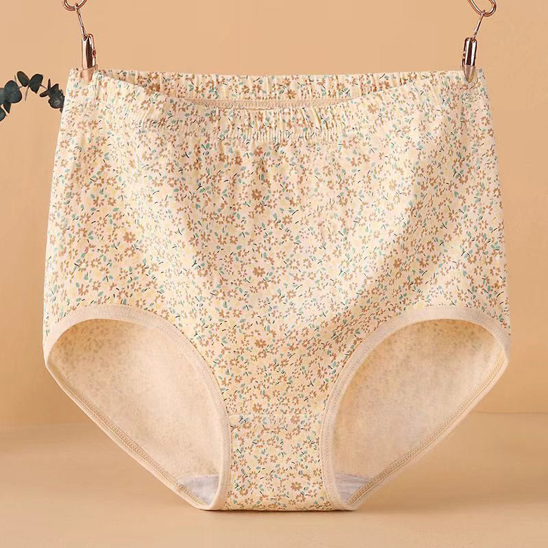 Plus Size High Waist Jacquard Panty(4 Packs)