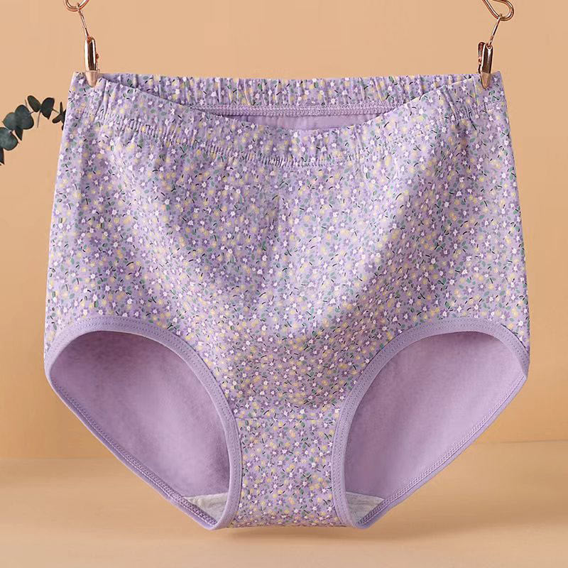 Plus Size High Waist Jacquard Panty(4 Packs)