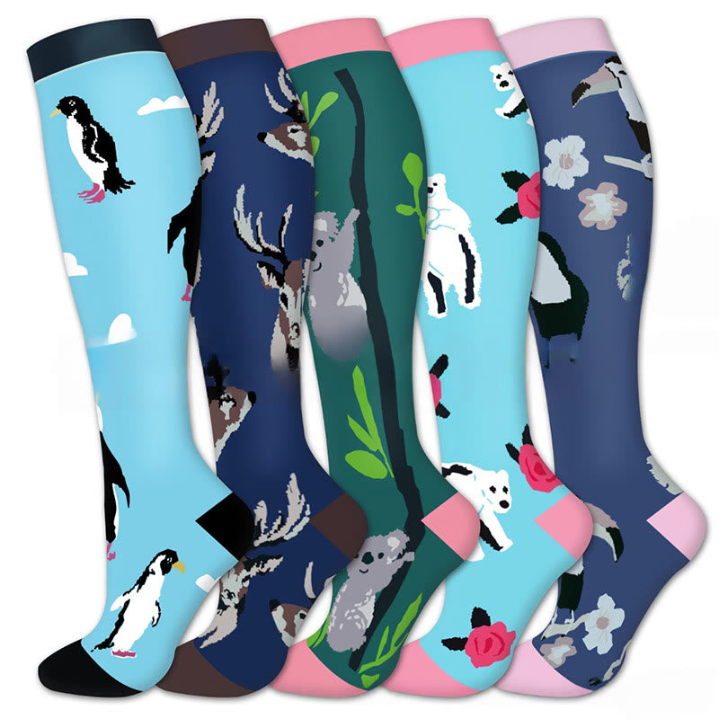 Koala Penguin Compression Socks(5 Pairs) - Multicolor - S/M - image 1