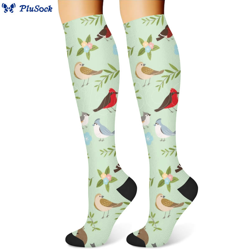 Spring Flower Birds Compression Socks(3 Pairs) - image 2