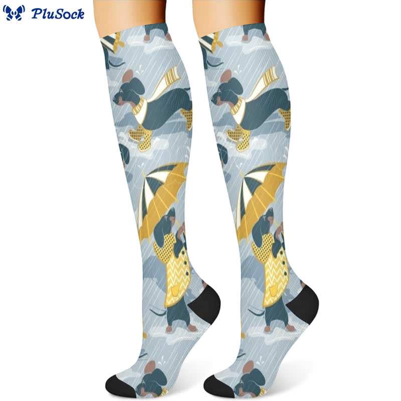 Dog Print Compression Socks(3 Pairs) - image 4