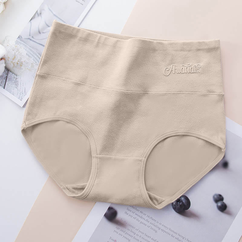 Plus Size High Waist Stretchy Panty(4 Packs) - Nude - 5XL - image 9