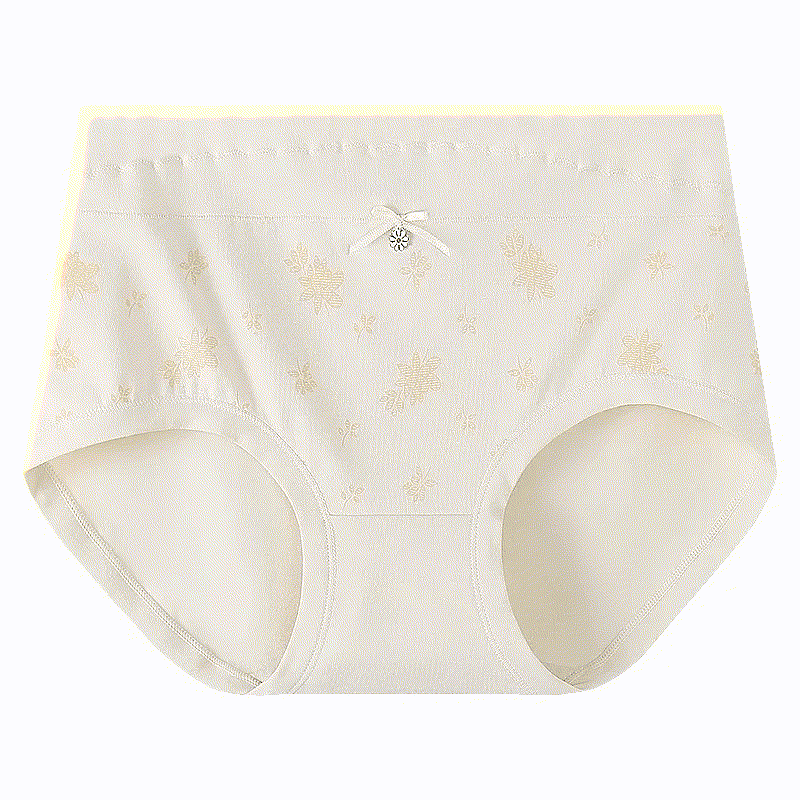 Floral Cotton High Rise Panty(2 Packs) - Apricot - XXXL - image 5