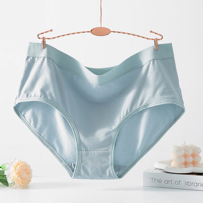 Simple High Waisted Strentch Panty(4 Packs) - image 8
