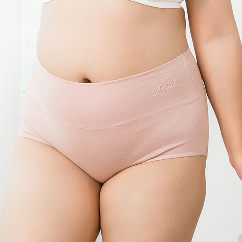 Plus Size High Waist Stretchy Panty(4 Packs)