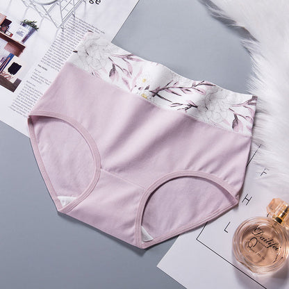 Pink Love Heart Panty(5 Packs) - Light Purple - 2XL - image 9