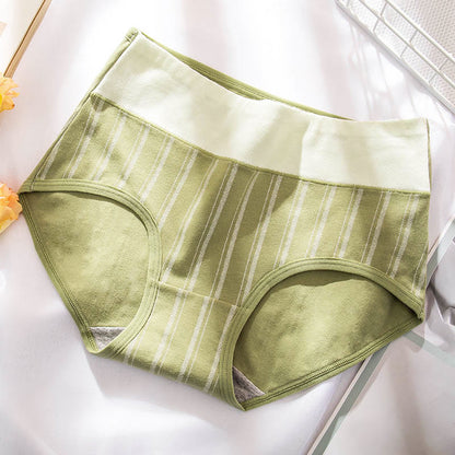 Green Series Panty(4 Packs) - Stripes - 2XL - image 6