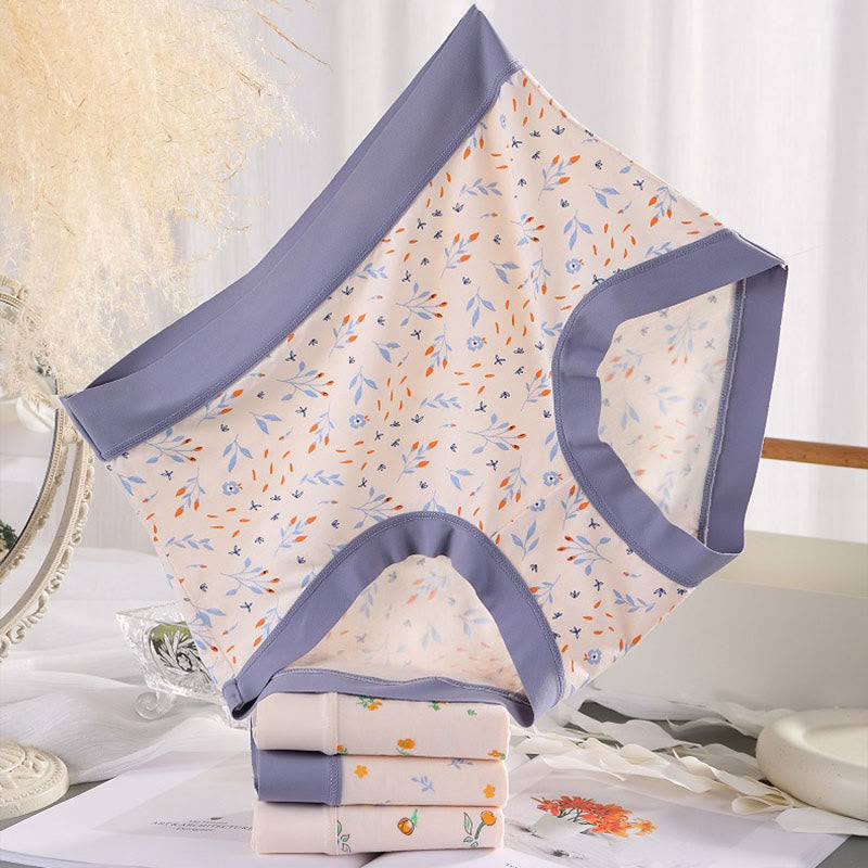 Elegant Flowers Panty(4 Packs) - image 3