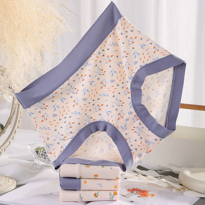 Elegant Flowers Panty(4 Packs) - image 3