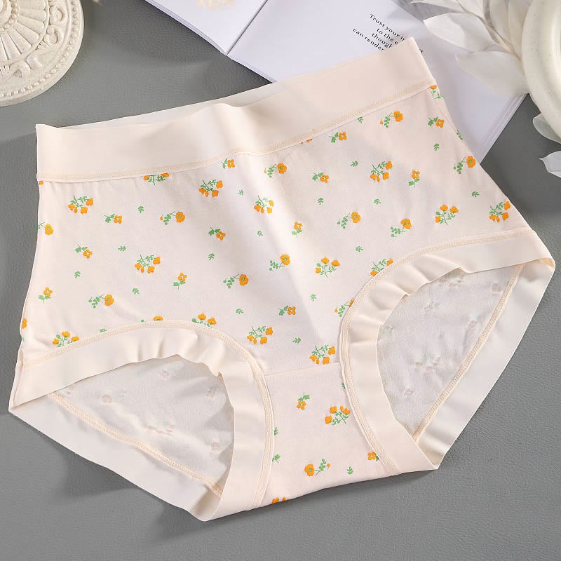 Elegant Flowers Panty(4 Packs) - Apricot - 3XL - image 8