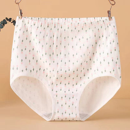 Plus Size High Waist Jacquard Panty(4 Packs)