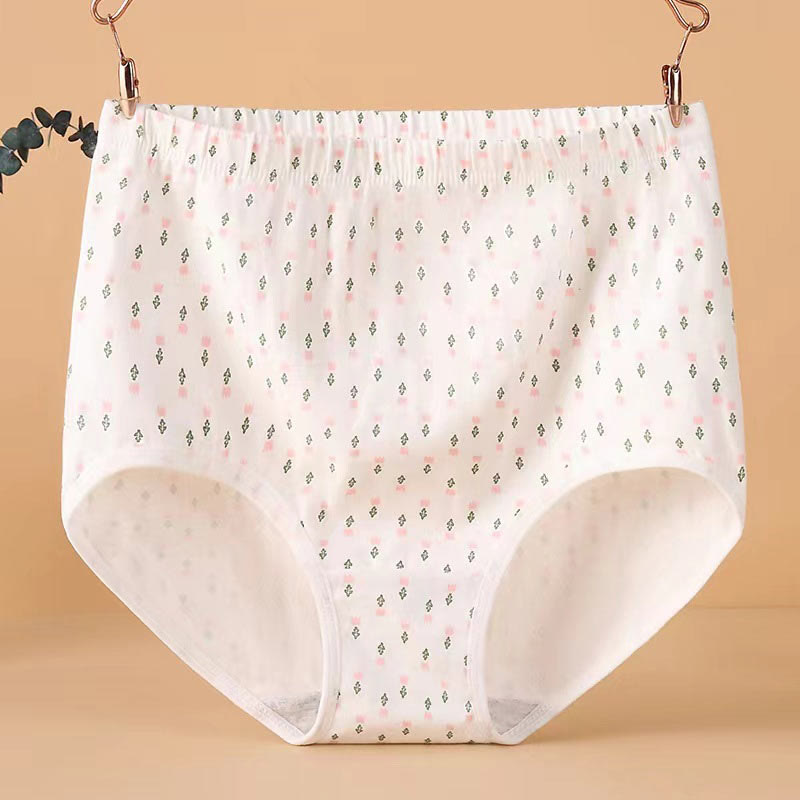 High Waist Jacquard Panty(4 Packs) - image 1