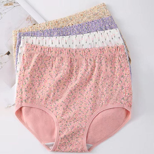 Plus Size High Waist Jacquard Panty(4 Packs)