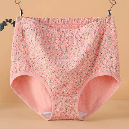 Plus Size High Waist Jacquard Panty(4 Packs)