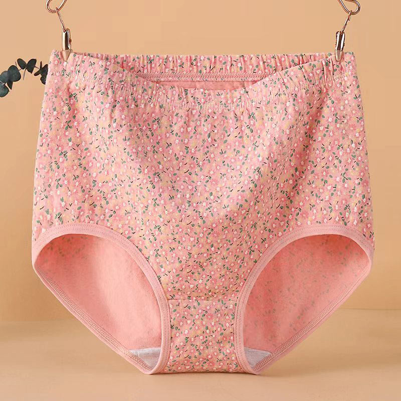 High Waist Jacquard Panty(4 Packs) - image 4