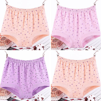 Plus Size Floral Pure Cotton Panty(4 Packs)