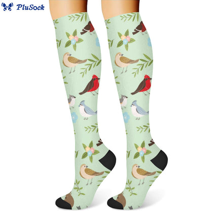 Spring Flower Birds Compression Socks(3 Pairs) - image 2