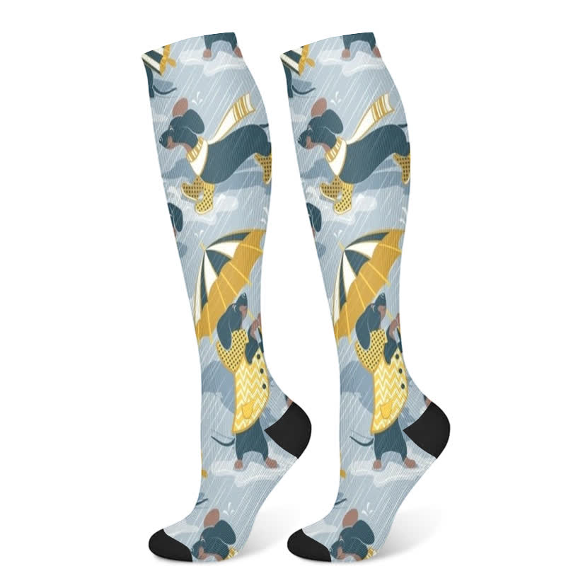 Dog Print Compression Socks(3 Pairs) - Blue(1 Pair) - S/M - image 8