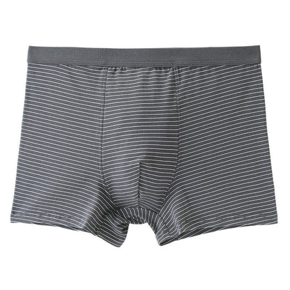 Cotton Stripe Boxer Briefs - Grey - 9XL - image 1