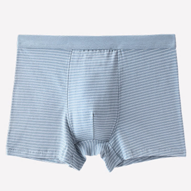 Cotton Stripe Boxer Briefs - Light Blue - 9XL - image 5