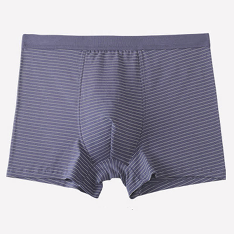 Cotton Stripe Boxer Briefs - Purple - 9XL - image 3