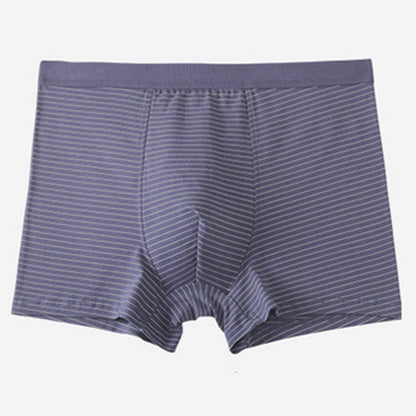 Cotton Stripe Boxer Briefs - Purple - 9XL - image 3