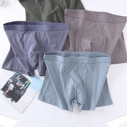 Cotton Stripe Boxer Briefs - image 0