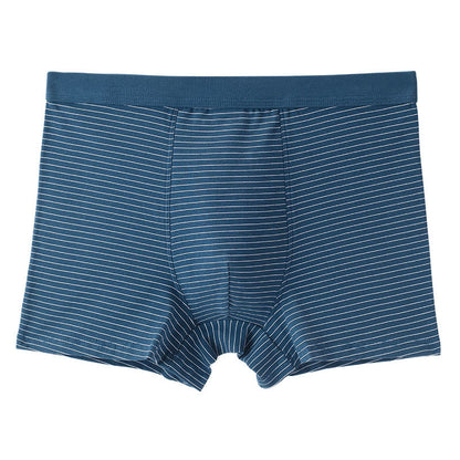 Cotton Stripe Boxer Briefs - Dark Blue - 9XL - image 9