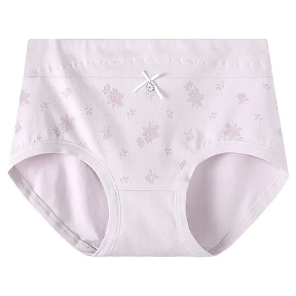 Floral Cotton High Rise Panty(2 Packs) - Light Purple - XXXL - image 6