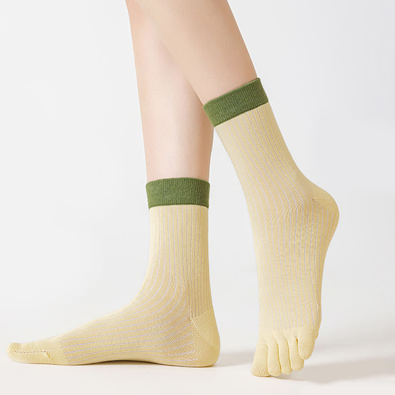 Casual Colorblock Alignment Socks(3 Pairs) - image 3