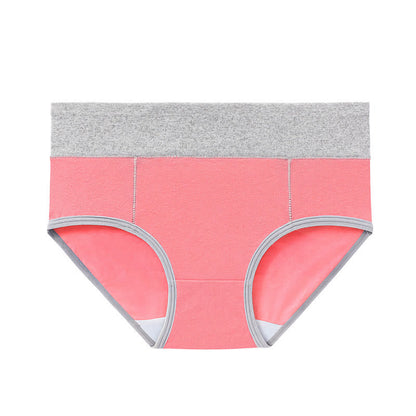 High-Waisted Cotton Antibacterial Panty(5 Pairs) - image 11