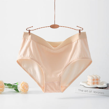 Simple High Waisted Strentch Panty(4 Packs) - Apricot - 6XL - image 14