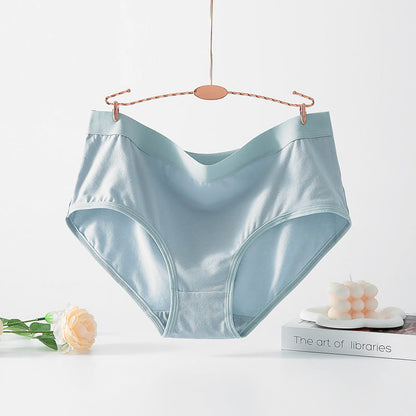 Simple High Waisted Strentch Panty(4 Packs) - Light Blue - 6XL - image 6