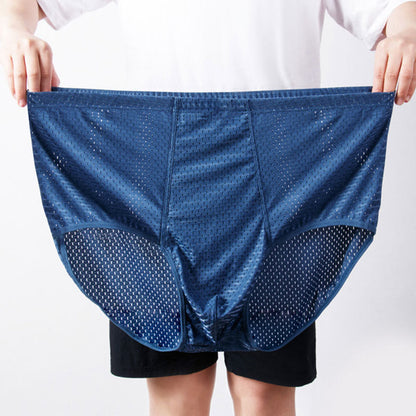 Plus Size Ice Silk Hip Briefs(1 Pair) - Blue - 10XL - image 6