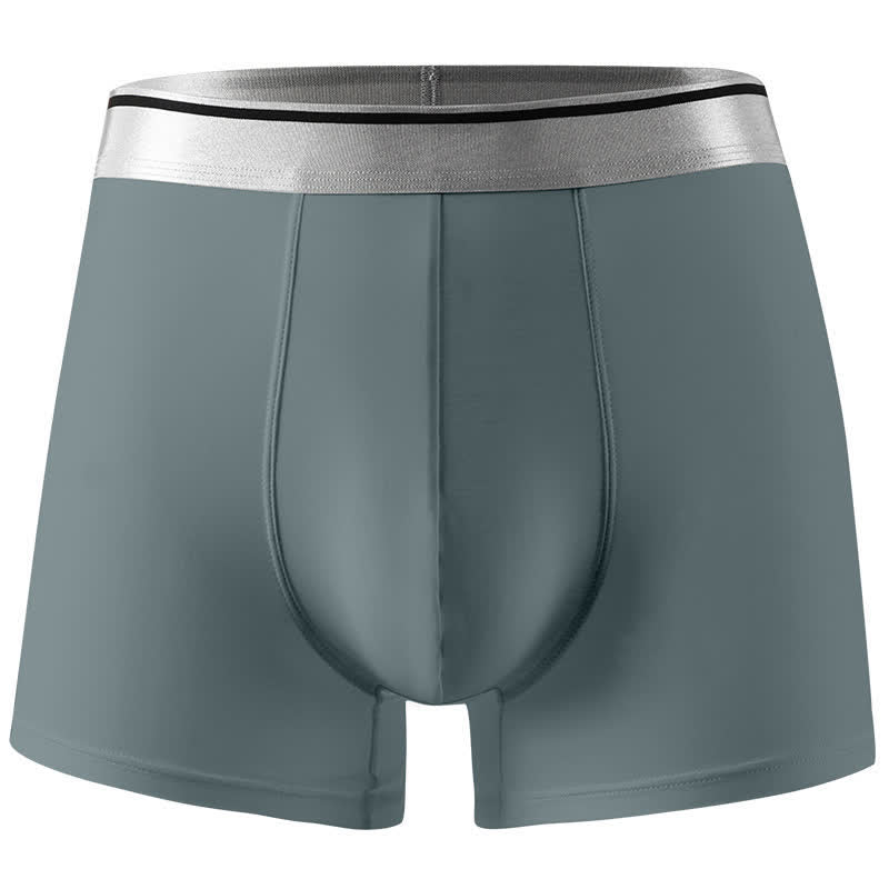 Plus Size Ice Silk Ultra-Thin Briefs(1 Pack) - Grey - 12XL - image 3