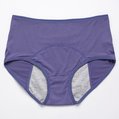 Period Leak Protection Panty(5 Pairs) - Purple - 8XL - image 16