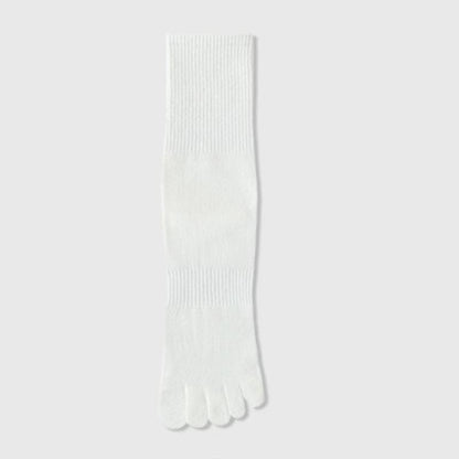 Everyday Cotton Alignment Socks(6 Pairs) - White - EU39-44(US6-10) - image 3